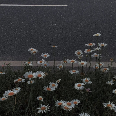 因为很久没更新了，偷偷出现一下～