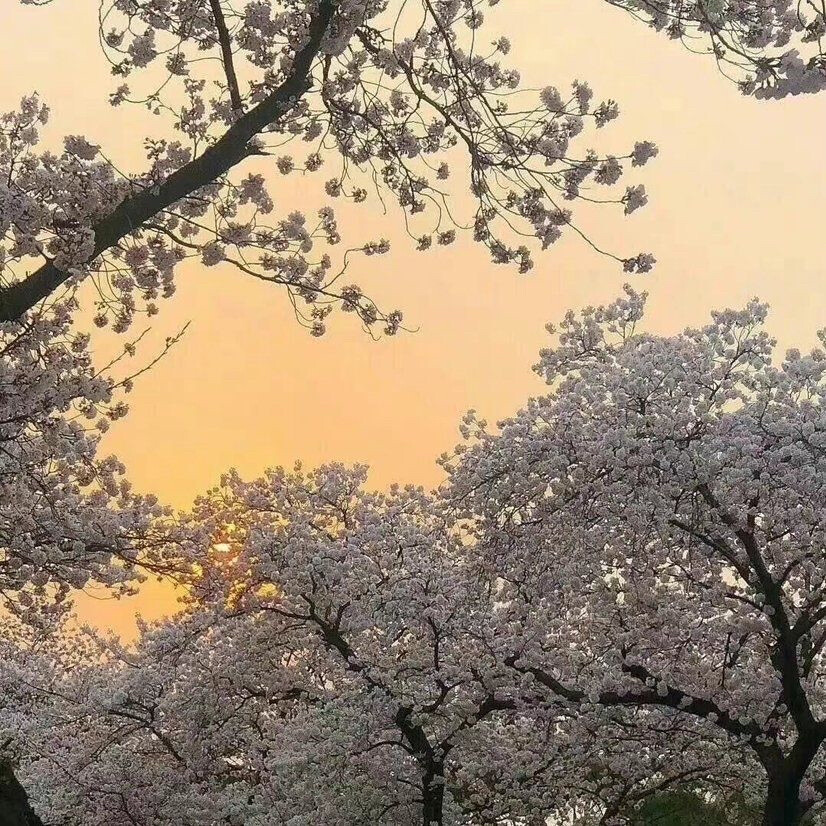 因为很久没更新了，偷偷出现一下～