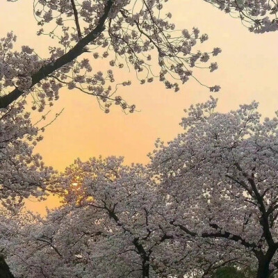 因为很久没更新了，偷偷出现一下～