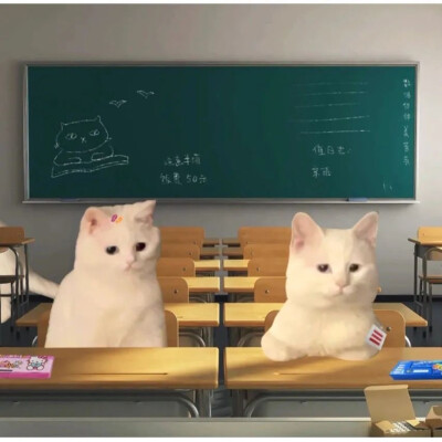 因为很久没更新了，偷偷出现一下～