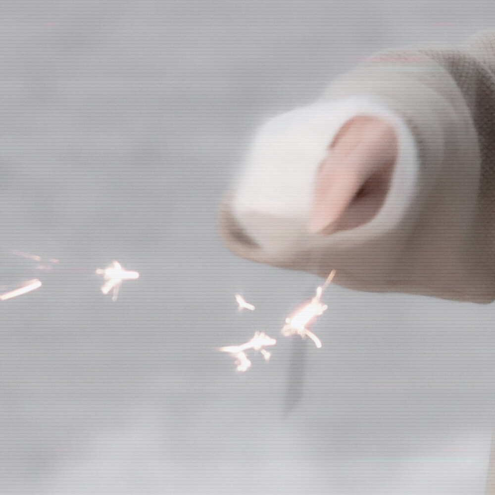 喜欢的尽头就是厌恶。
