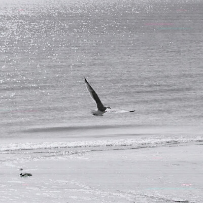 喜欢的尽头就是厌恶。
