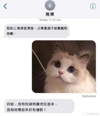 meme，沙雕图，梗图