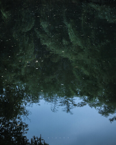 很喜欢栖聿的图，作者微博：栖聿。
喜欢可以关注。