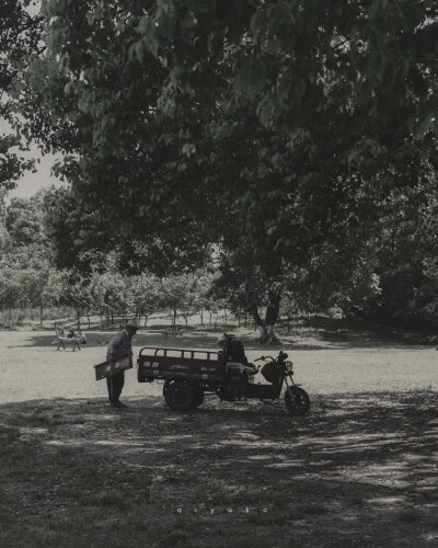 很喜欢栖聿的图，作者微博：栖聿。
喜欢可以关注。