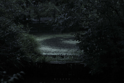 很喜欢栖聿的图，作者微博：栖聿。
喜欢可以关注。