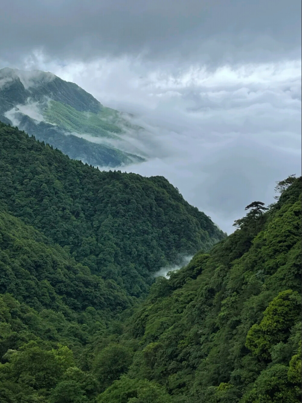 想去旅行