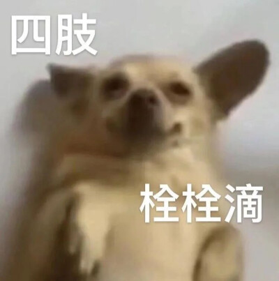 各類文字表情包/搞笑/可爱