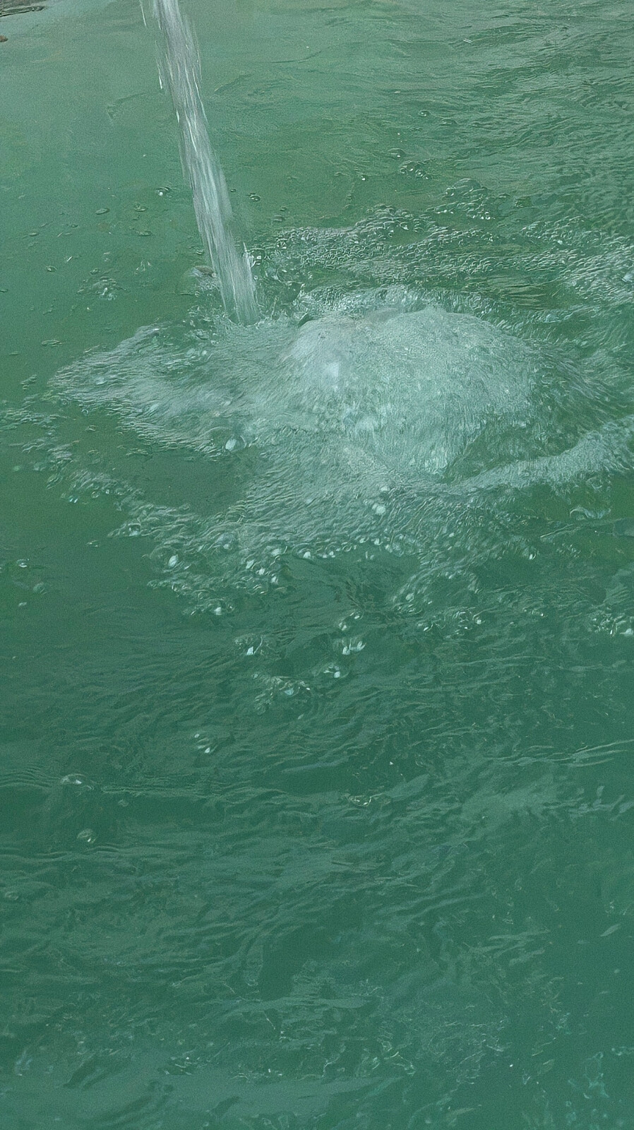 我要走的路 是有你的路。