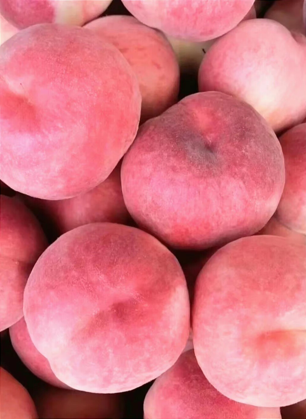 我要走的路 是有你的路。