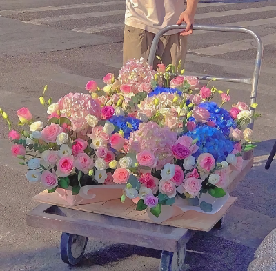 从此鲜花赠自己 纵马踏花向自由