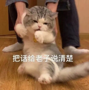 表情包