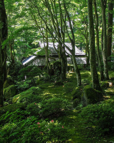 只有日本_贺兹 教林坊