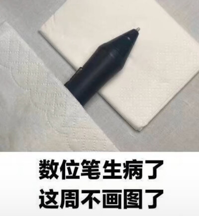 小画家表情包