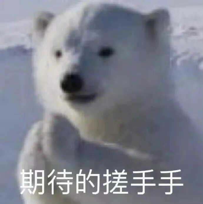 表情包