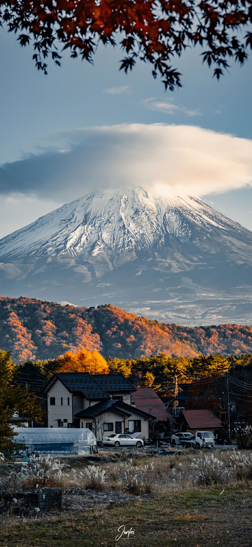 风景