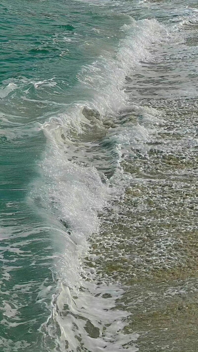 冷淡风壁纸
