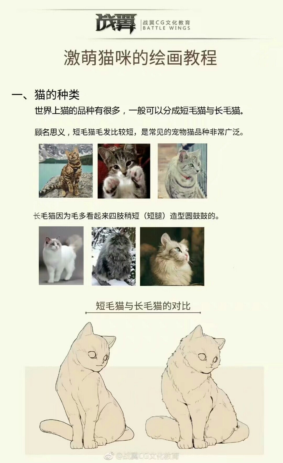 猫猫教程