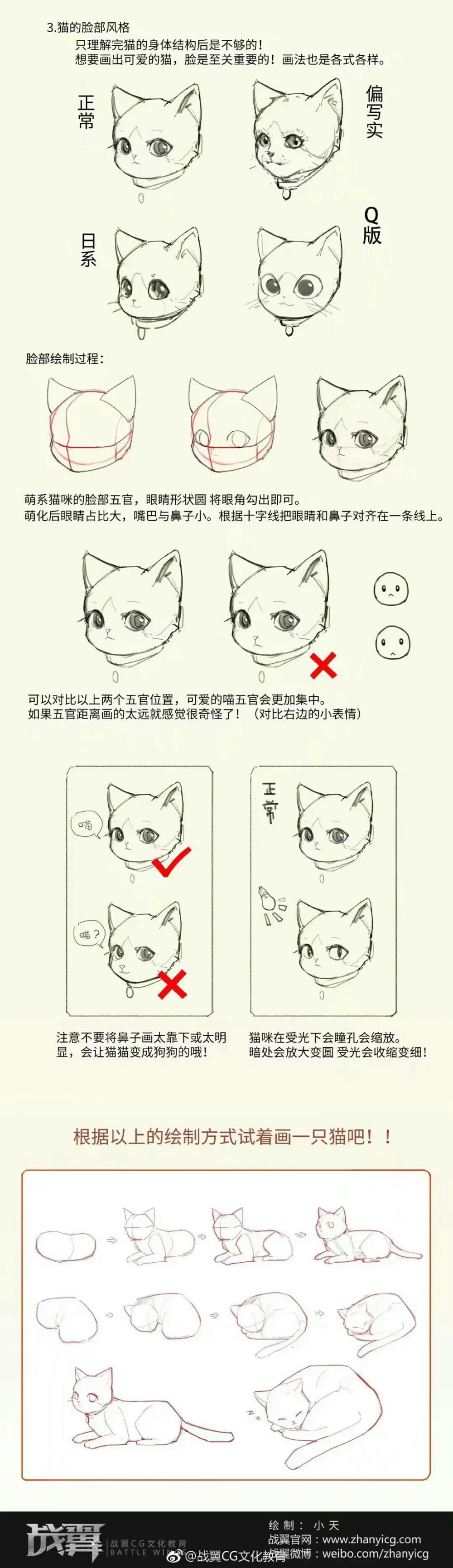 猫猫教程