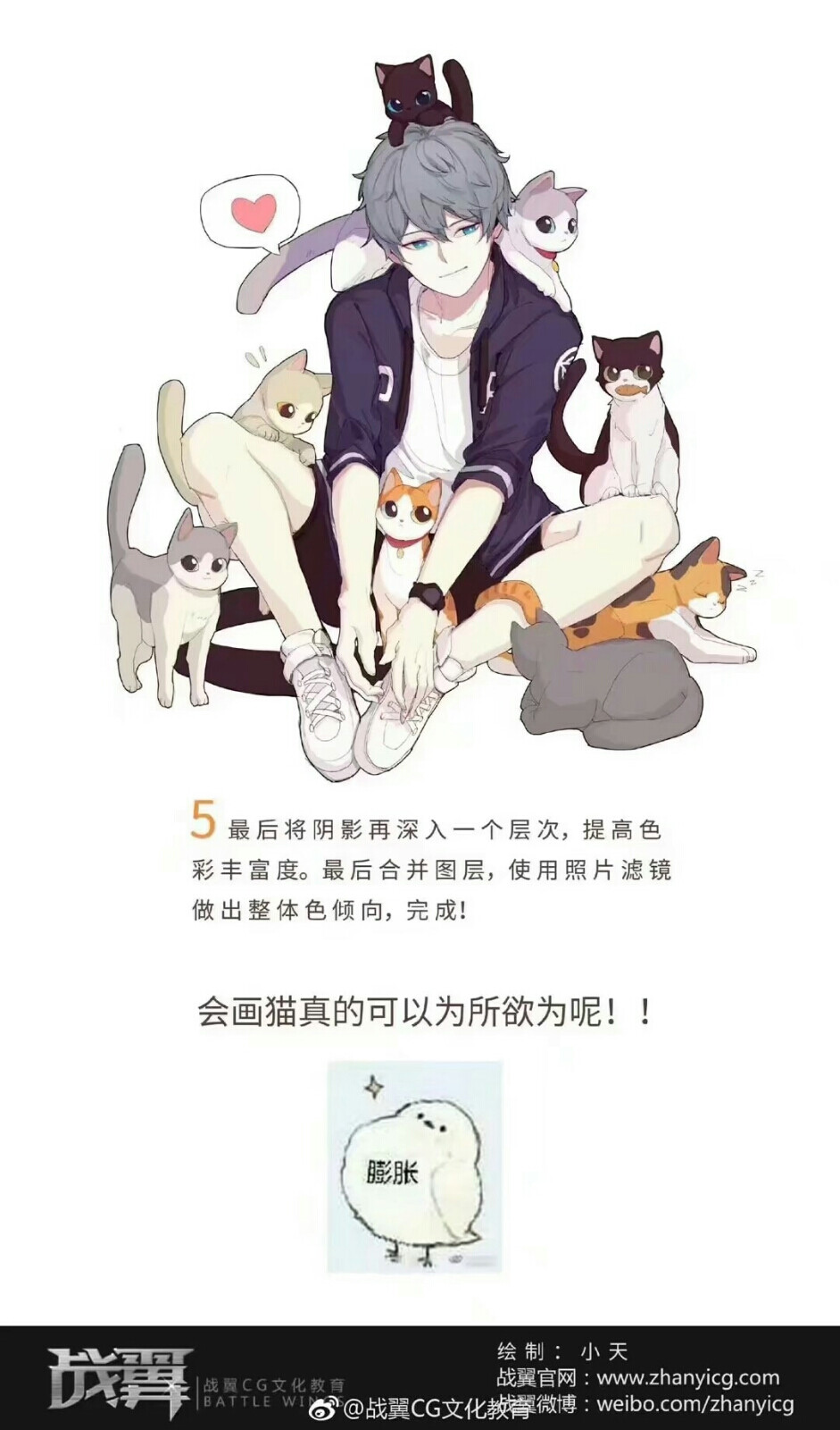 猫猫教程