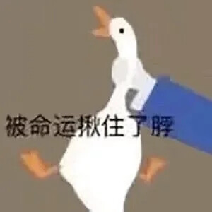 沙雕大白鹅表情包