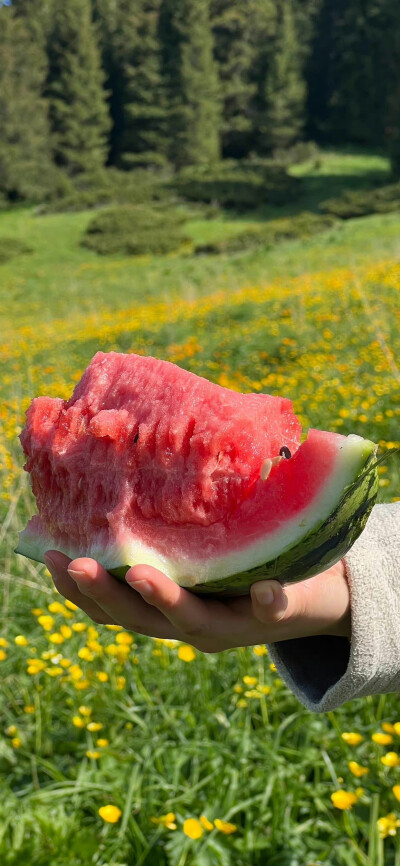 壁纸·夏天 西瓜
水果/风景/冰块/凉爽/护眼/大海/野餐/冰淇淋/清爽