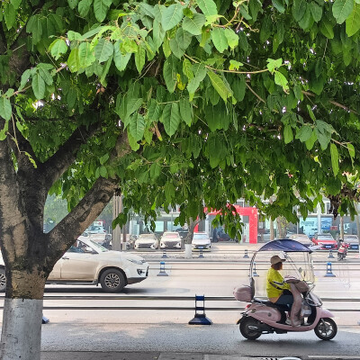 意难平的意思大就是生活没有如果