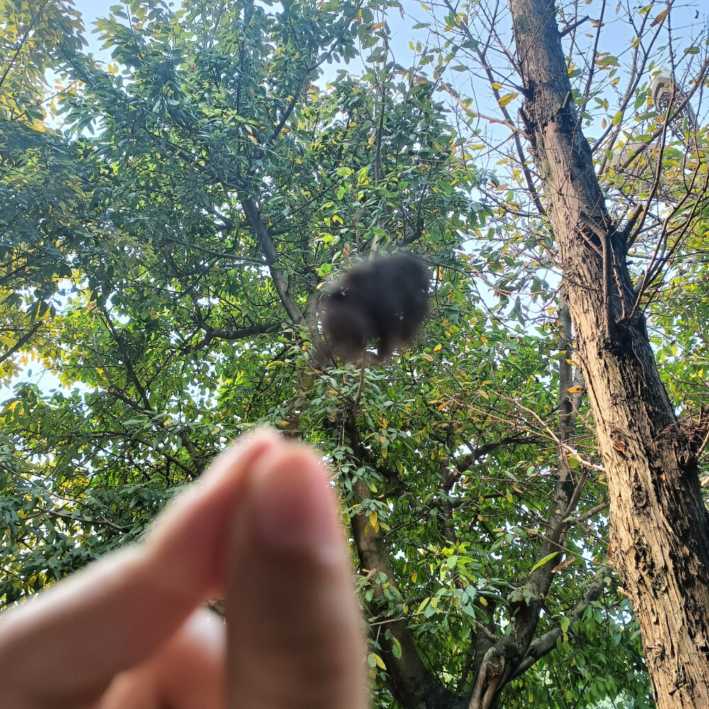 意难平的意思大就是生活没有如果