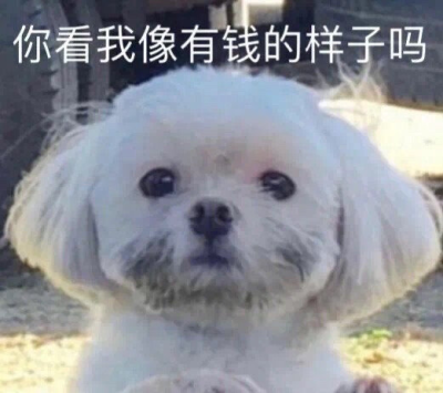 来源微博：煎饼多放生菜