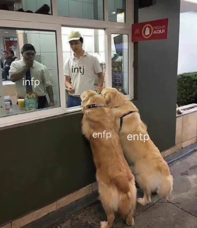 ENFP ENTP