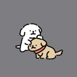 可爱の马尔济斯小狗