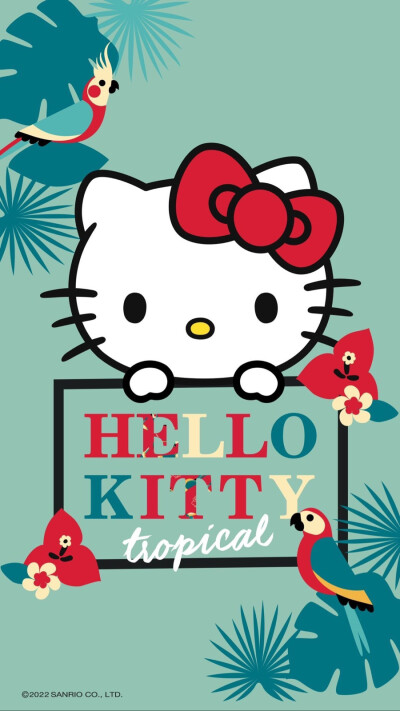 hello my kitty～