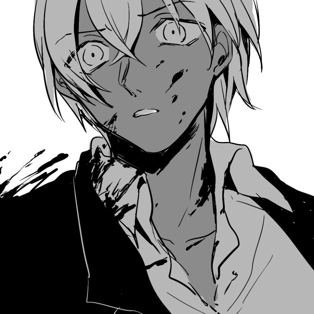 Conan
安室透/江户川柯南