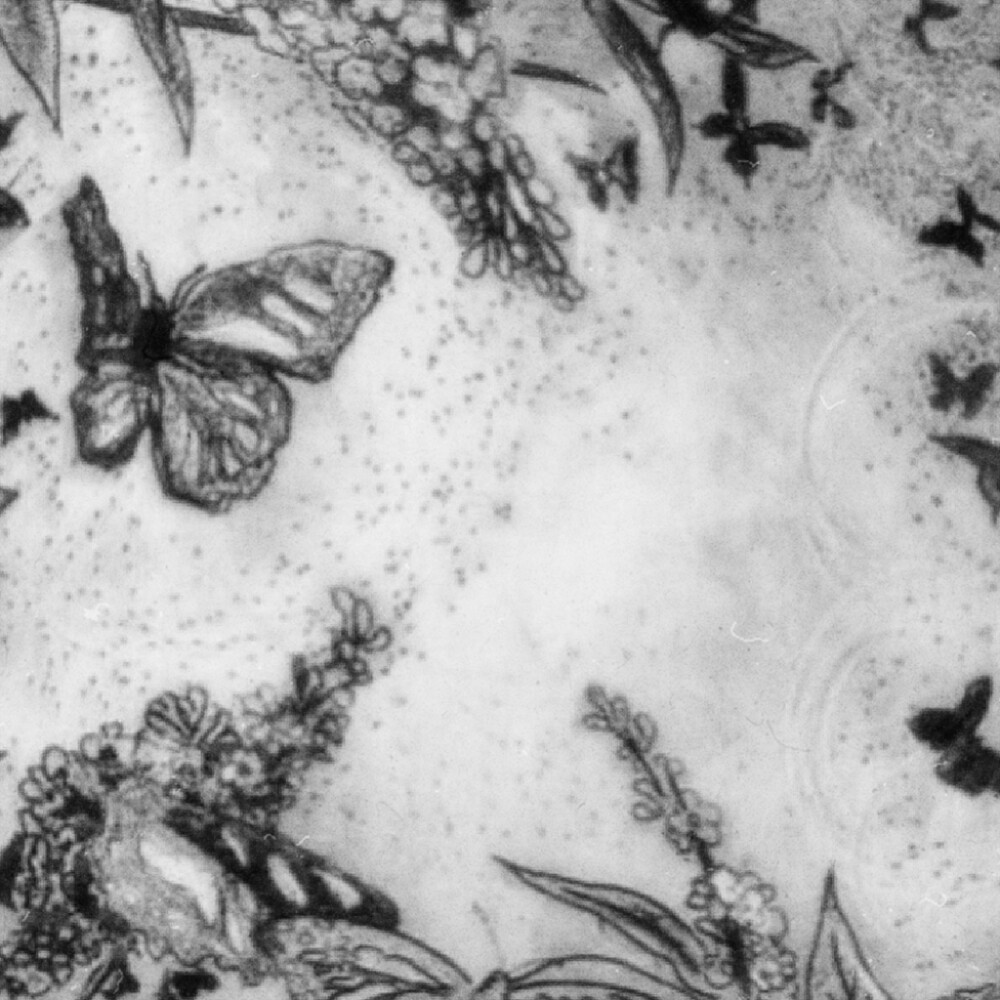 我的爱是烂尾的诗集.
