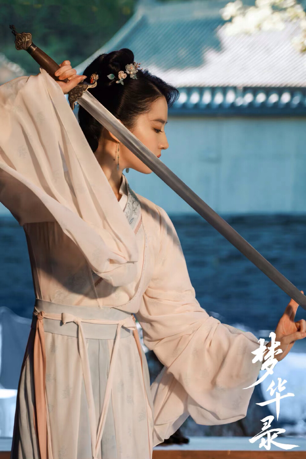 梦华录 刘亦菲 赵盼儿
