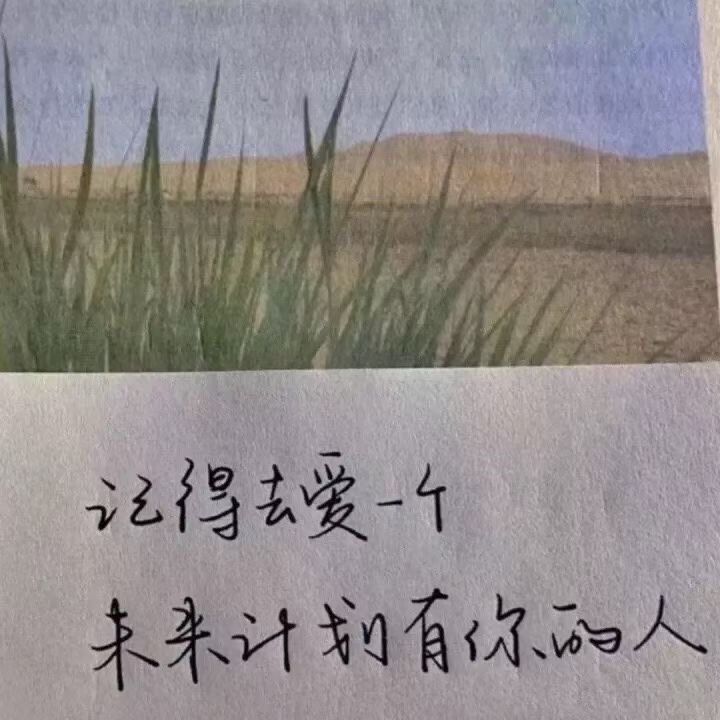 背景素材.