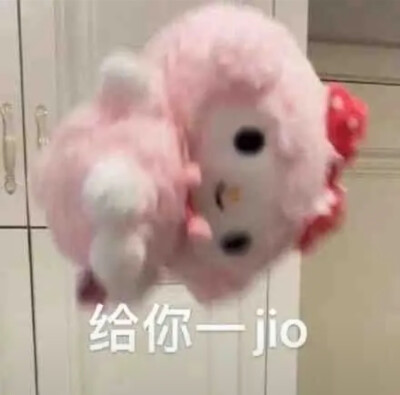 表情包/搞笑/猫咪/小狗/蜜雪冰城/甜蜜蜜/蜡笔小新/撒娇/小羊/委屈/贴贴/道歉