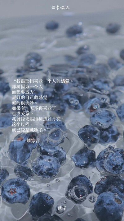 自制壁纸文案| 底图来自网络
“我会在每个有意义的时刻 远山隔海的祝你快乐 我的意思是谢谢你的出现”
