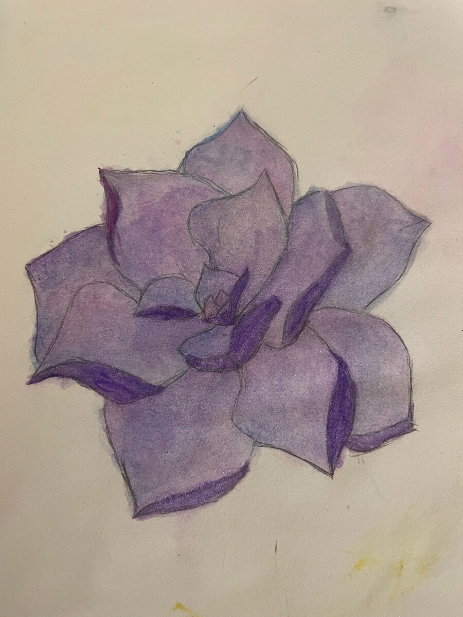 所念皆星河，星河皆是你。