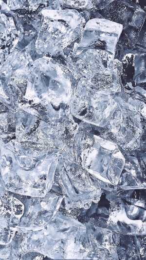 「晴栎」壁纸ing