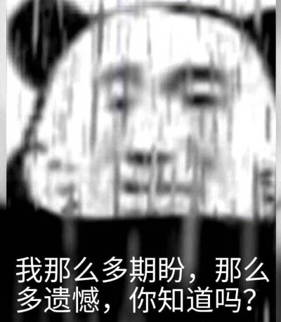 沙雕表情包