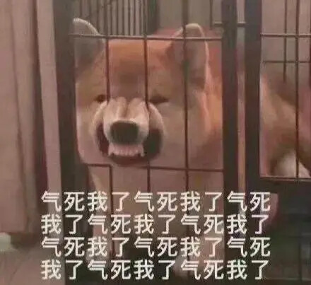 表情包 气死我了