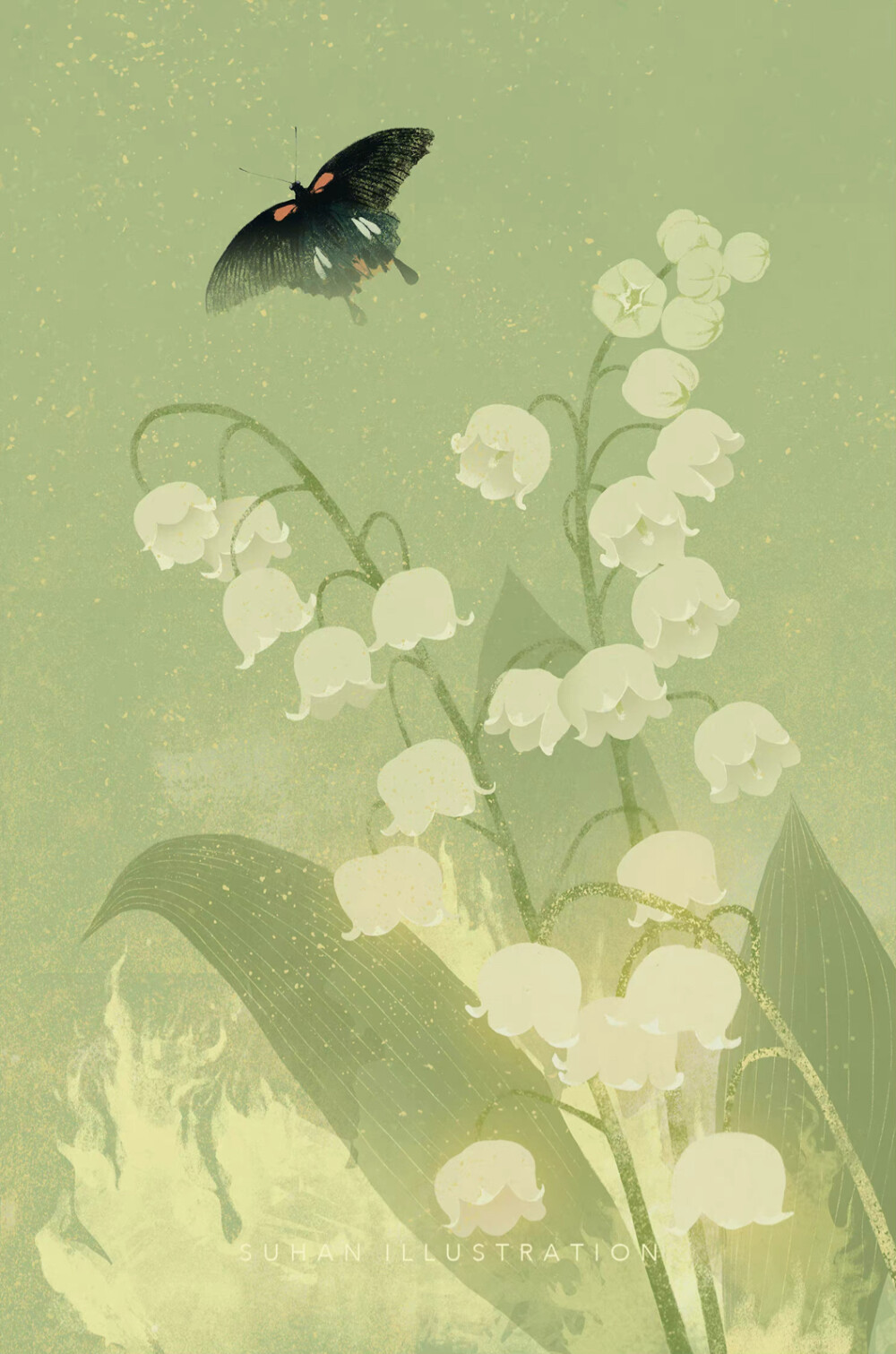 画师：苏寒插画 