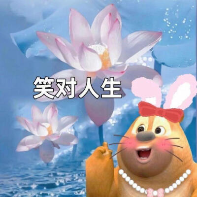 熊二头像