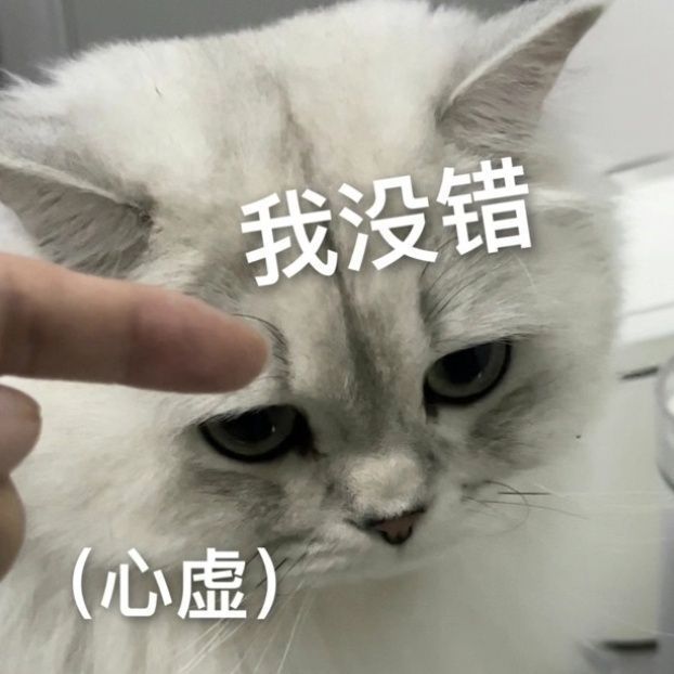 猫咪表情包