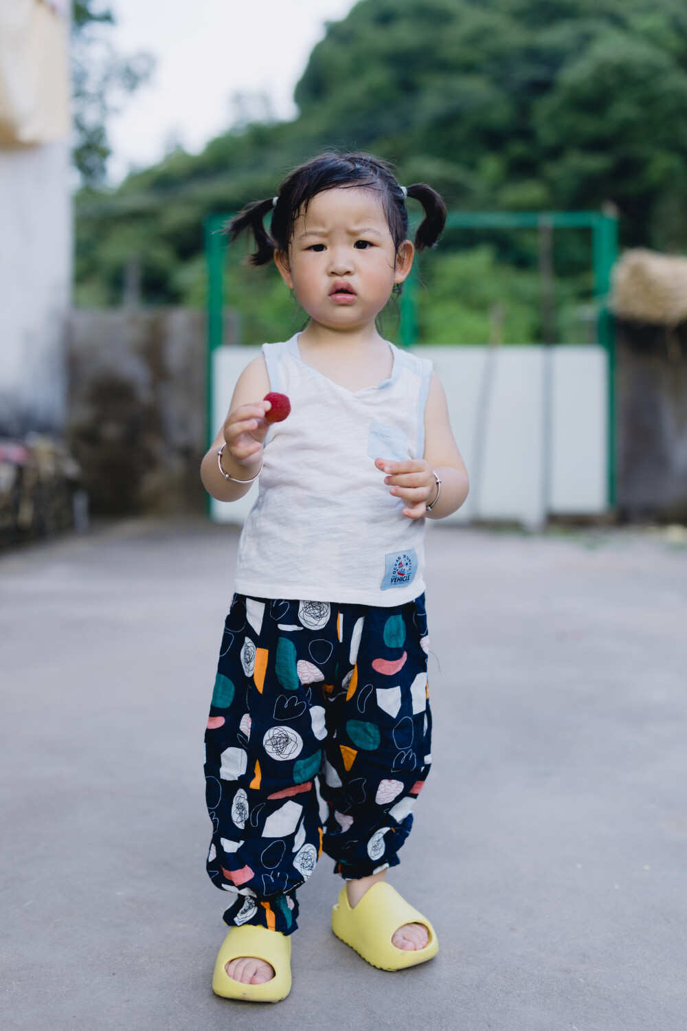 杨梅季节回家首日
摄影：洪小漩
出镜：家人
六月中旬，将菲比和婆婆送回上虞。
距离上一次回家，过去两个多月。上次回家尚且是青梅时节，此番回去已然杨梅正当时。
回家时，奶奶正在门口台阶斜坡处搓着麦秆。我一边跨着大包小包，一边提高嗓门唤一声“奶奶，我们回来啦”。奶奶抬头，不慌不忙地说“回来了”。然后就将目光落在了菲比身上，说“宝宝，阿太叫声”。
毕竟是到了自己家，菲比并无陌生感。然而她没第一时间叫阿太，反倒是满院子找故友“咯咯哒”。我也懒得理会，便自顾自进了门，将带回的东西摆了一地。
八仙桌上，好大一筐杨梅。不用猜，也知道爷爷又不听小辈劝，上山爬树采杨梅去了。爷爷种在山上的杨梅，因年