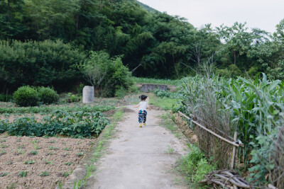 杨梅季节回家首日
摄影：洪小漩
出镜：家人
六月中旬，将菲比和婆婆送回上虞。
距离上一次回家，过去两个多月。上次回家尚且是青梅时节，此番回去已然杨梅正当时。
回家时，奶奶正在门口台阶斜坡处搓着麦秆。我…