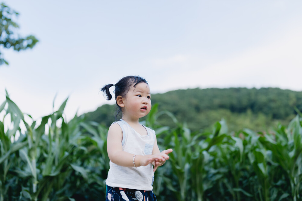 杨梅季节回家首日
摄影：洪小漩
出镜：家人
六月中旬，将菲比和婆婆送回上虞。
距离上一次回家，过去两个多月。上次回家尚且是青梅时节，此番回去已然杨梅正当时。
回家时，奶奶正在门口台阶斜坡处搓着麦秆。我一边跨着大包小包，一边提高嗓门唤一声“奶奶，我们回来啦”。奶奶抬头，不慌不忙地说“回来了”。然后就将目光落在了菲比身上，说“宝宝，阿太叫声”。
毕竟是到了自己家，菲比并无陌生感。然而她没第一时间叫阿太，反倒是满院子找故友“咯咯哒”。我也懒得理会，便自顾自进了门，将带回的东西摆了一地。
八仙桌上，好大一筐杨梅。不用猜，也知道爷爷又不听小辈劝，上山爬树采杨梅去了。爷爷种在山上的杨梅，因年