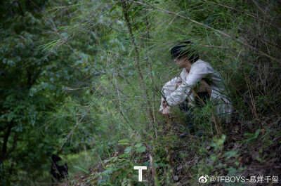 细雨隐了深巷 青苔绿了石板 炊烟卷走过往 若当薄雾漫漫 阳关不是故乡 西风谢了花残
古道远了边关 残阳染红昨天
若当南雁归来 理想还在远方
#野王