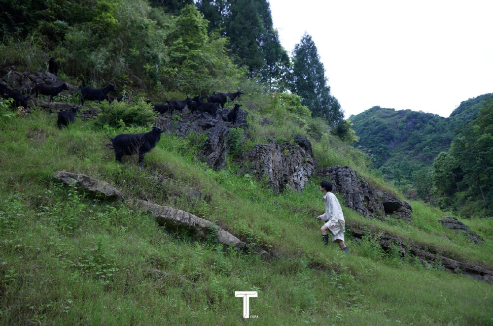 细雨隐了深巷 青苔绿了石板 炊烟卷走过往 若当薄雾漫漫 阳关不是故乡 西风谢了花残
古道远了边关 残阳染红昨天
若当南雁归来 理想还在远方
#野王